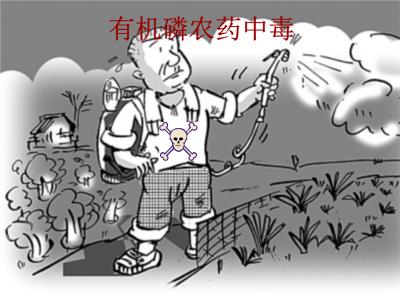 什么是有機磷農藥殘留？食品安全檢測儀提醒您規避風險