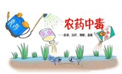 農(nóng)藥殘留速測儀助力“有機農(nóng)業(yè)”發(fā)展！